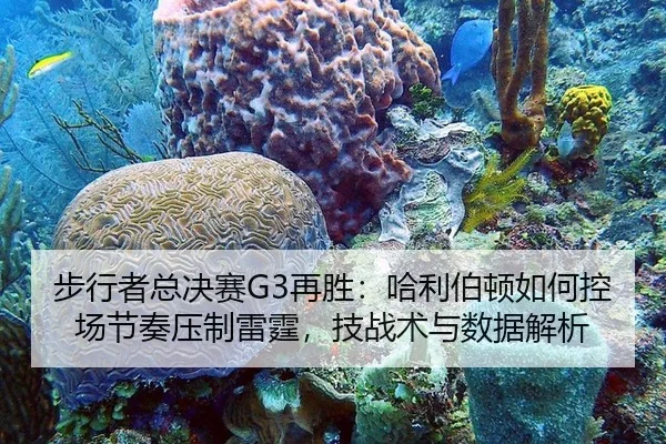 步行者总决赛G3再胜：哈利伯顿如何控场节奏压制雷霆，技战术与数据解析
